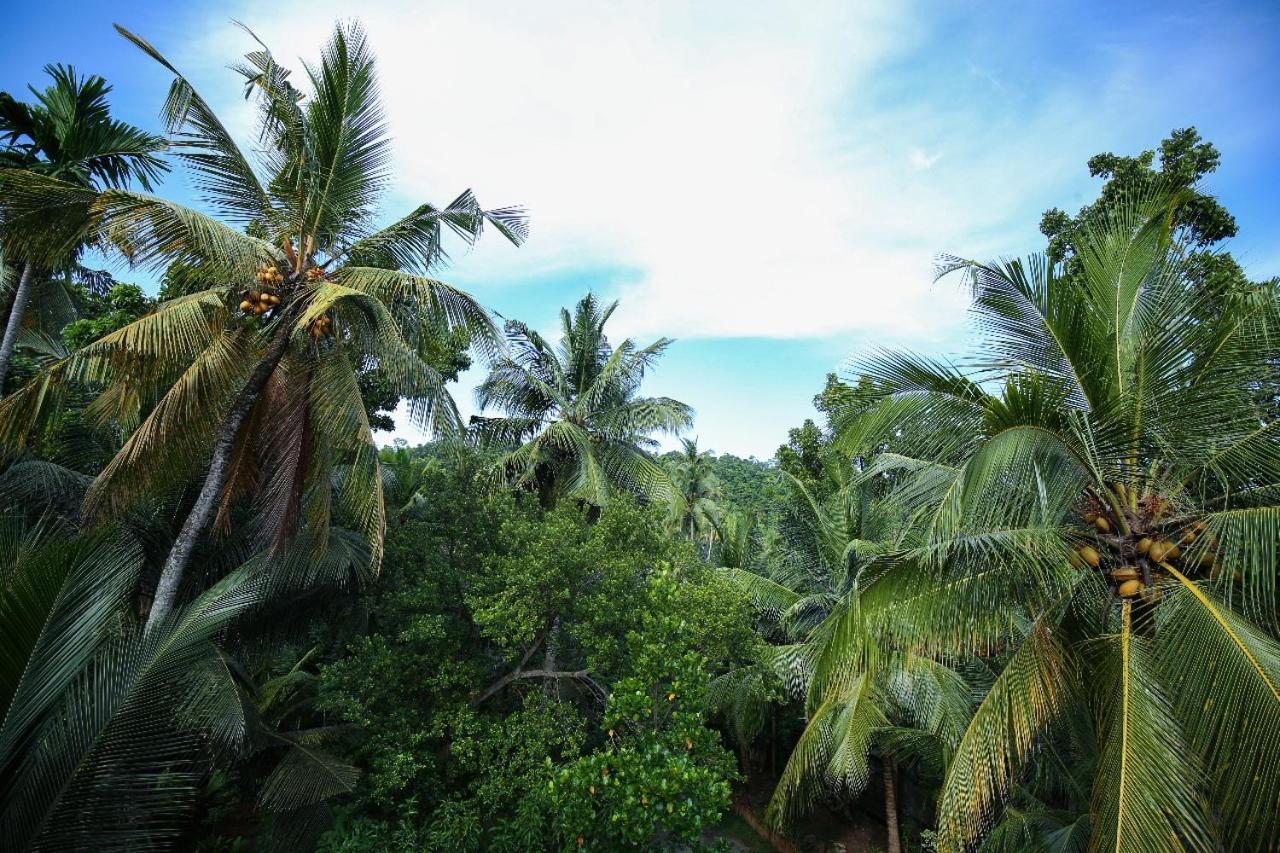 Homejay Residancies Unawatuna Buitenkant foto
