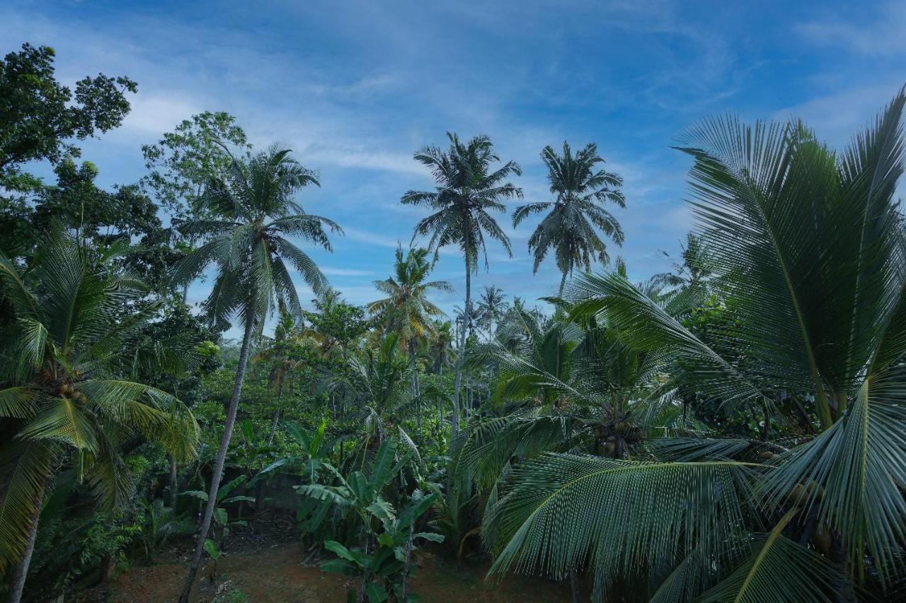Homejay Residancies Unawatuna Buitenkant foto